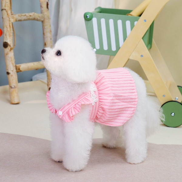 Summer small princess costume