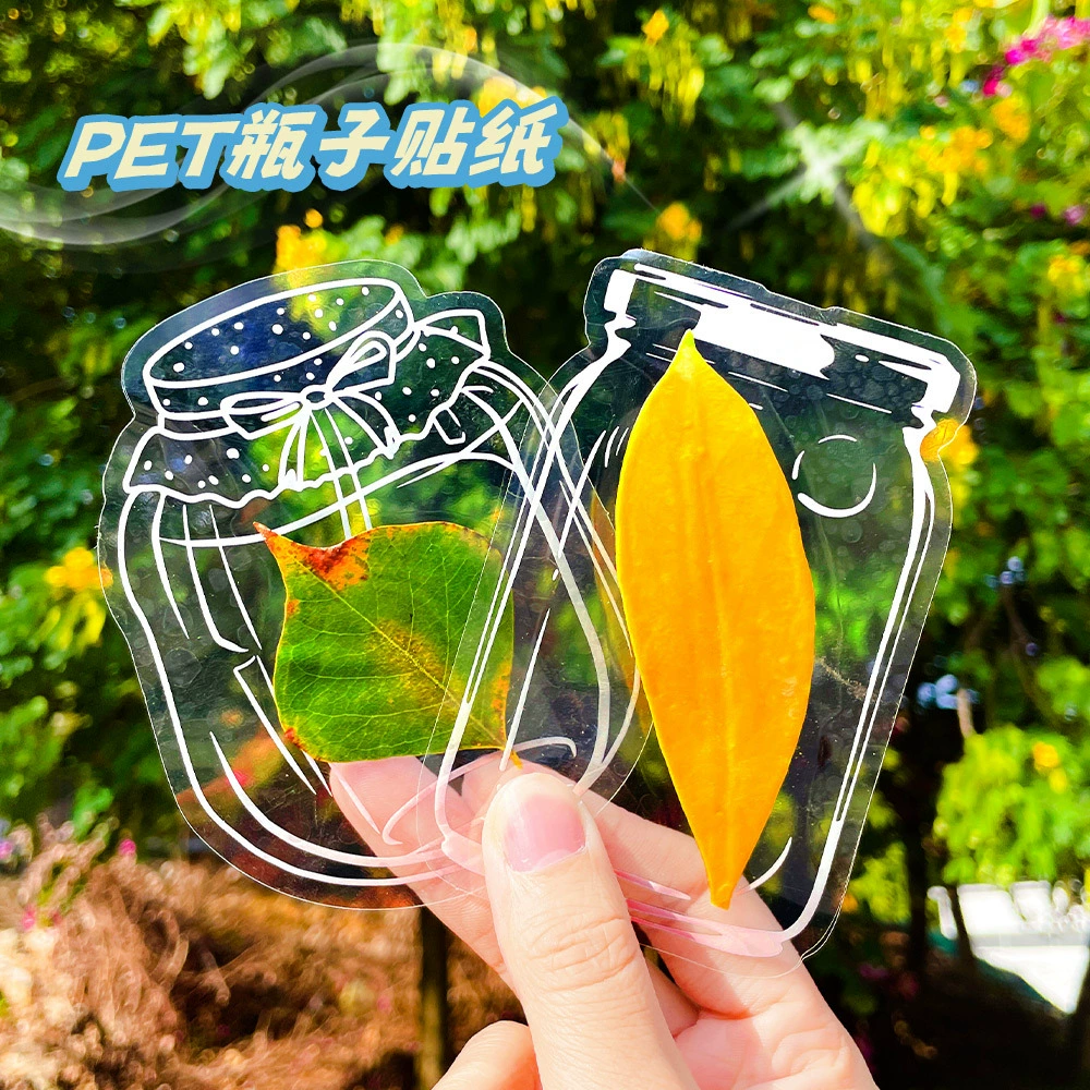 Набор прозрачных стикеров из сухоцветов осенних кленовых листьев, коллекция растений, сделанные вручную, для DIY, закладки, небольшой подарок