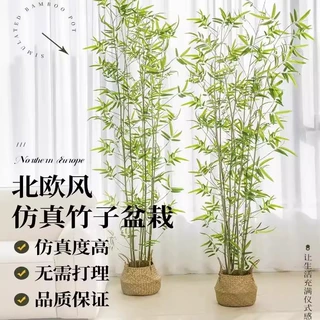 仿真竹子轻奢北欧风装饰客厅落地仿生大型室内假绿植盆栽盆景摆件
