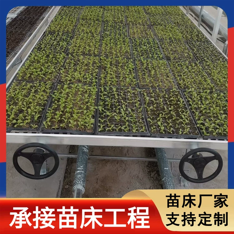 Зеленая посадка сетчатая кровать может быть фиксированной