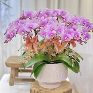 ���W���s�մɻ���������l�p�ݿ͏d�lؔ���ޥ�m�����m��E18