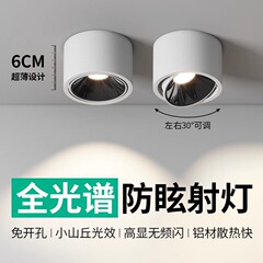 超薄明装スポットライト調節可能な角度の小さい丘の牛の目の防眩しさの客間の家庭の天井の明かりの円形の無主灯