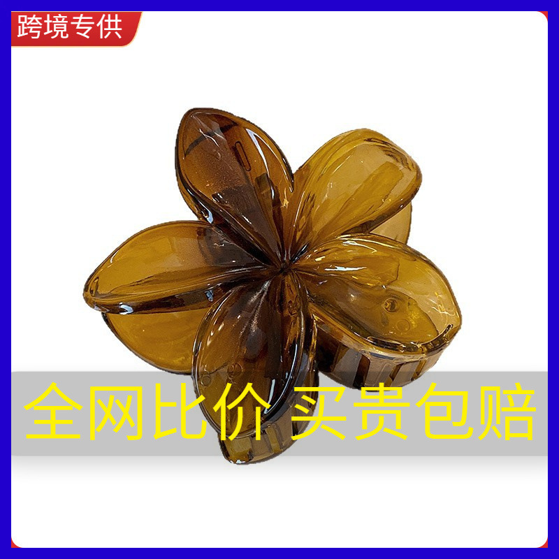 跨境高级感度假风鸡蛋花大号抓夹后脑勺盘发鲨鱼夹半扎发时尚发饰|undefined