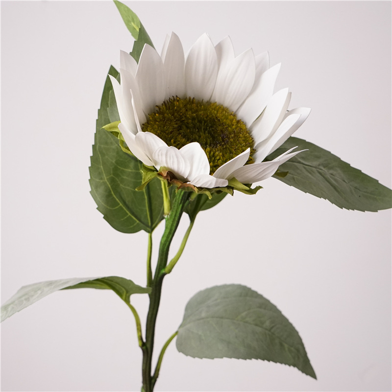 Girasol de tallo largo - Blanco