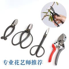 Flower arranging scissors, pruning shears, wire scissors, various gardening garden flower arranging scissors, flower branch scissors, floral scissors, wire scissors