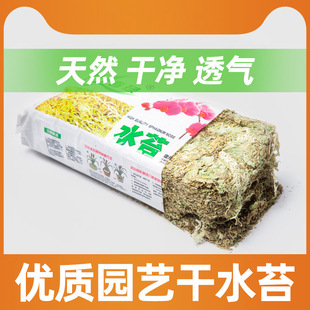 һ�����l��ˮ̦�����m�o���B�m���Ķ����̦�\�r��Nֲ�I�B��