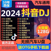 汽车载U盘2023抖音流行歌曲网红热门神曲无损音质车用mp3音乐优盘