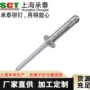 全铝型抽芯库存齐全铆钉