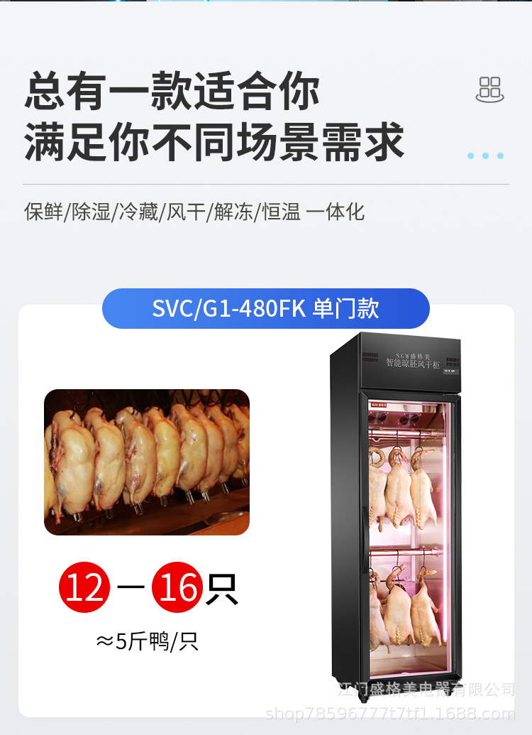 风干柜经济款_10