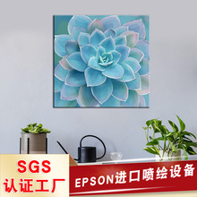 亚马逊多肉植物浴室挂画现代流行喷绘帆布壁画蓝色花朵客厅装饰画