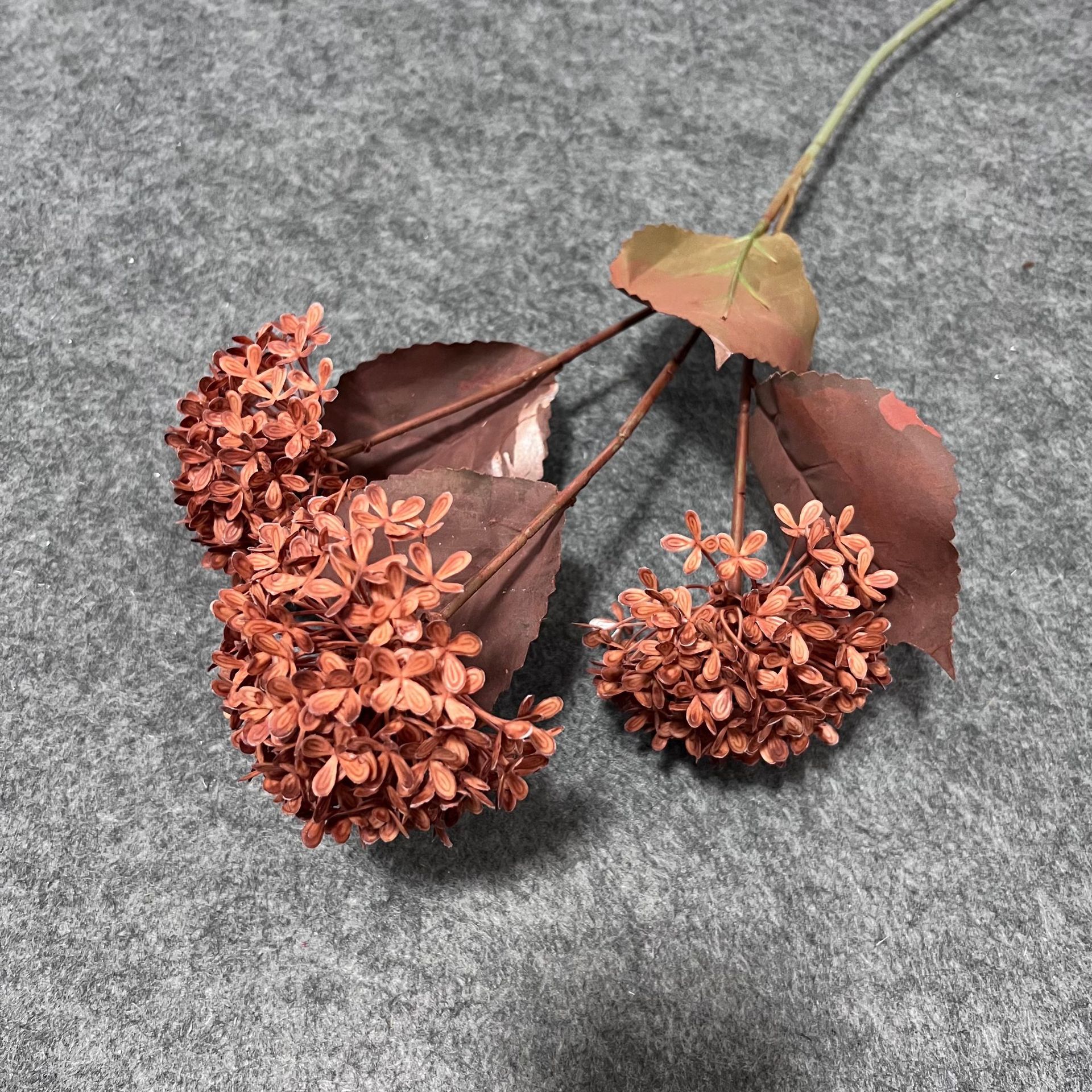 Wood hydrangea autumn orange