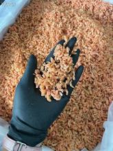 海鲜干货500克海米散装虾米干虾仁海鲜干货金钩海米批发一件代发