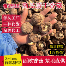 华豫木森 批发头茬西峡干香菇肉厚无根新货香菇干货薄菇厚菇冬菇