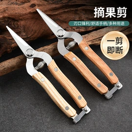 家用剪刀;厨用剪刀;修枝剪
