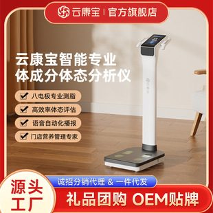 智能分析体脂测量仪推荐2026|1688买家百科