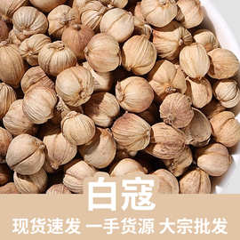 白蔻500g白扣白豆蔻豆叩圆豆蔻香料卤料炖肉药材大全现货批发