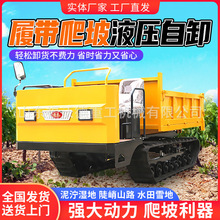 С���Ď�ʽ�����C�r��ȫ�������������ɽ�ع�����ж��ɽ���\ݔ܇