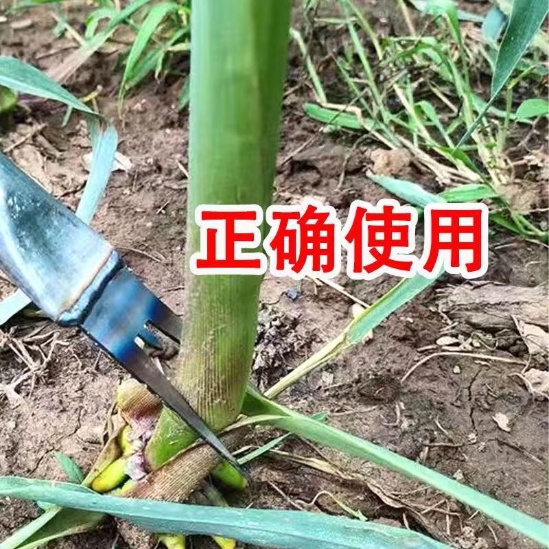 6ed567a5-efb5-4d5b-8d90-b30086