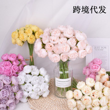 �羳�ٻ�27�^ĵ���������Ʋ݉���ɽ�軨õ��ins�L���滨�S����؛