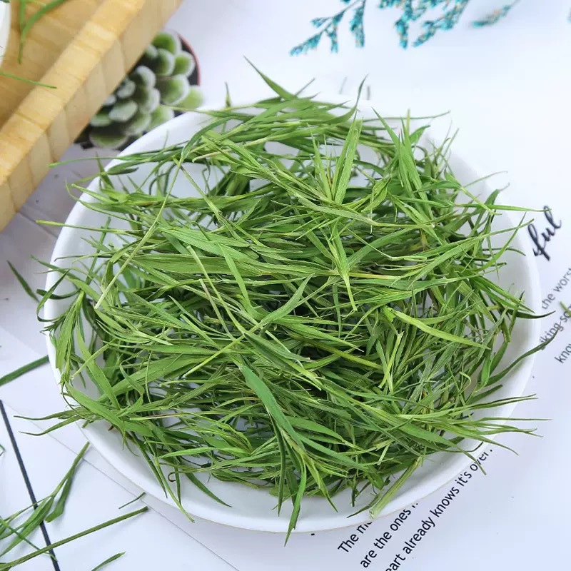 Dried Shizhuye Herbal Tea 500g Chinese Dianthus Leaf Flower Tea for Daily Brewing specifications