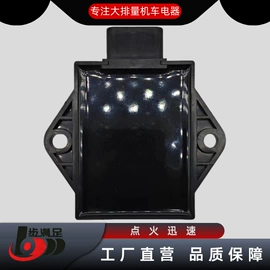 点火线圈;电子调节器;点火器