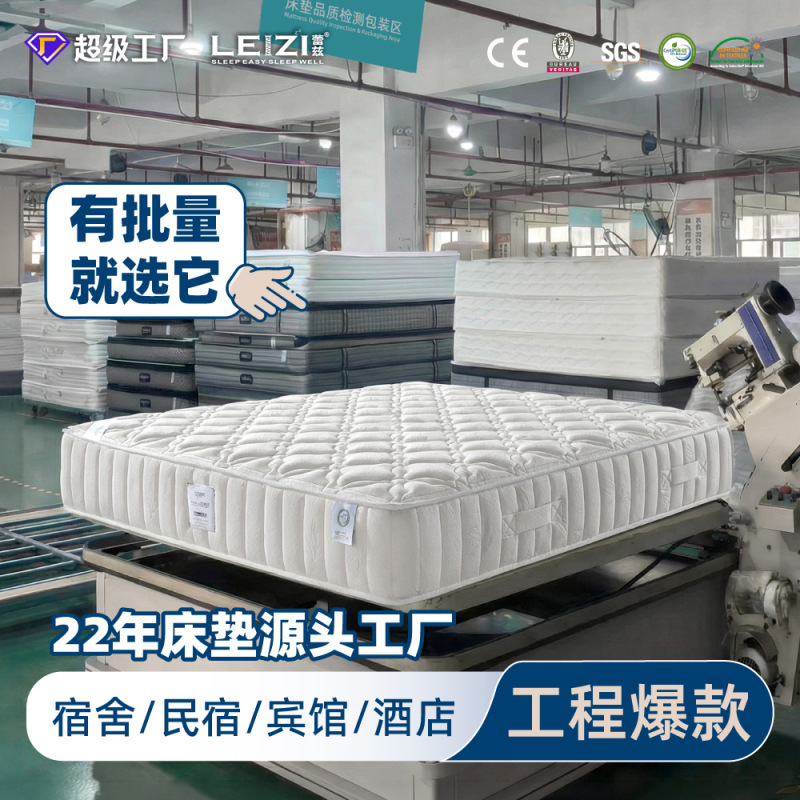 Hotel-Specific Non-Collapsing Independent Pocket Spring Mattress, Waist and Spine Support, Moderate Thickness, 23cm Thick, Non-Collapsing Hotel-Specific Non-Collapsing Independent Pocket Spring Mattress, Waist and Spine Support, Moderate Thickness, 23cm Thick, Non-Collapsing
