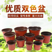 �pɫ��һ���Ի���������I�B�������ش�̖���������pɫ����Nֲ��