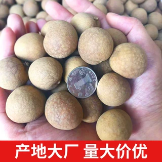 散装带壳龙眼干26年新货自然晒干特靓级大果广茂小核无熏硫桂圆干