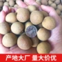 大果带壳散装自然桂圆干