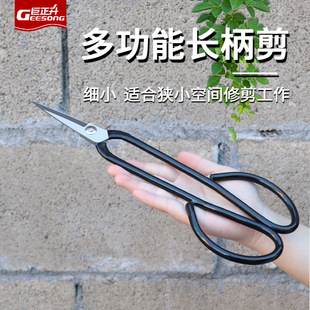 Thickened Leaf Bud Scissors Stainless Steel Gardening Scissors Tender Bud Bonsai Tools Fruit Branch Flower Leaf Pruning Scissors Manufacturer Wholesale