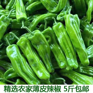 ��Ƥ�����ཷ���r�߲��r���ԷN�Fժ5���b���l�Gɫ���]