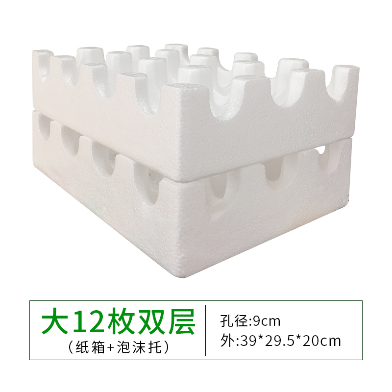 Caja de espuma de frutas manzana ciruela granada kiwi envasado de espuma de cartón conjunto mayorista