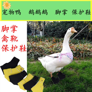 �羳���R�d���uͨ�����ZЬ ������� ����_����ѥ���oЬ �S�����l