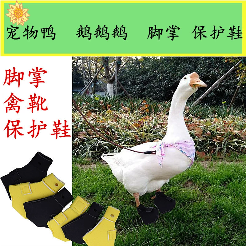 Трансграничная обувь Amazon AliExpress Duck Goose для домашних животных утка Коул утиная лапка птичьи сапоги защитная обувь производители оптом