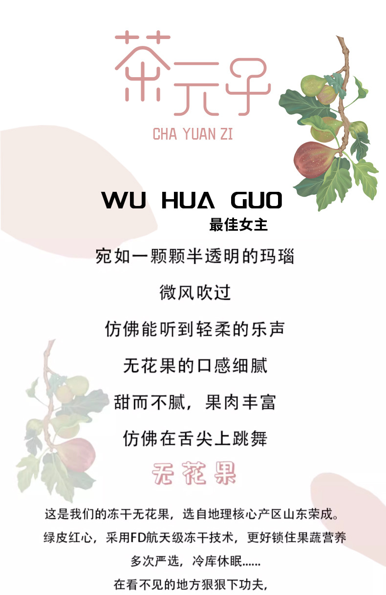 Freeze-Dried Fig Whole Fruit Snack Wujiahua 500g No Added Sugar Baking and Culinary Use overview