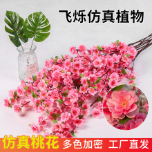 �����һ�֦����@���쾰���һ���÷����֧�����҃Ȕ[���ٻ��b�