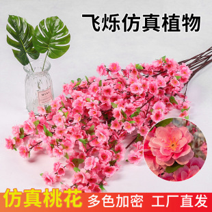 �����һ�֦����@���쾰���һ���÷����֧�����҃Ȕ[���ٻ��b�