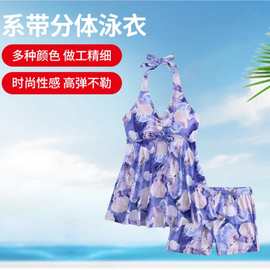 厂家直发保守遮肚显瘦分体泳衣女平角裤裙式温泉泳装
