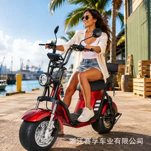 Citycoco Harley-style electric vehicle, direct supply from Brazil, wide-tire electric bike for adults, electric motorcycle, electric scooter manufacturer