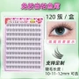 自然款外贸鱼尾分段假睫毛