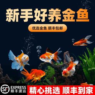 ���~���~���Ӝ���ˮ�~�^�p�~��ˮ�~���w�ݽ��~��С���~���B�����~