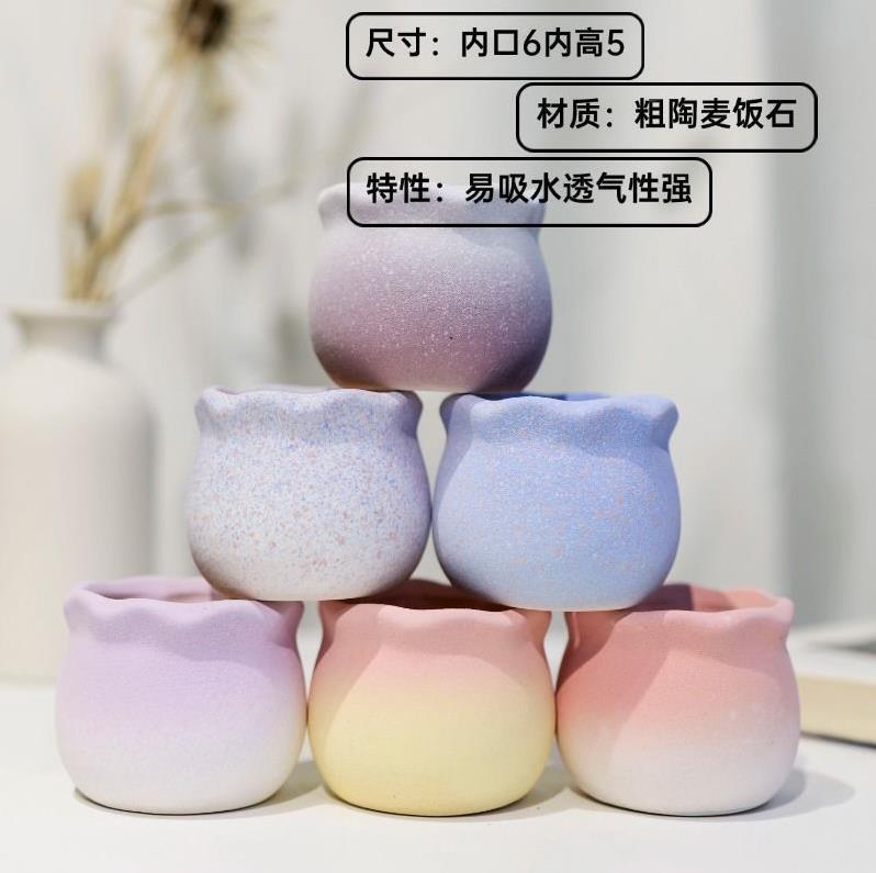 Cross-Border Wholesale of High-Quality Succulent Flower Pots for Home Use in Indoor Living Rooms, Made of Maifan Stone, Coarse Pottery, Water-Absorbent, Breathable Ceramic for Green Plants