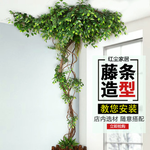 ���ٿ����ٗl�٘�ܵ��b����Ř��~�G�~��������������ֲ��