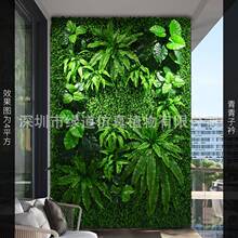 ���������ơ�����ֲ�1ƽ���ٲ�ƺ����������ֲ��������m�G�~