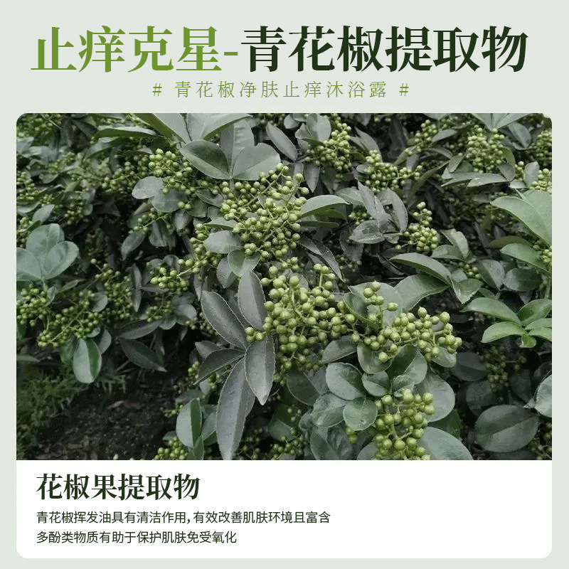Dr. Yanmei Green Pepper Cleansing Skin Antipicazón Gel de ducha Limpieza profunda Calmante Hidratante e Hidratante Limpiador de poros Fabricantes