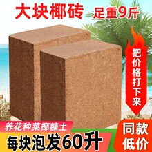 Ҭ�u�I�B���u�B���Nֲ��Ҭ���u�N��Ү�㉺�s������������ͨ���ʹ�