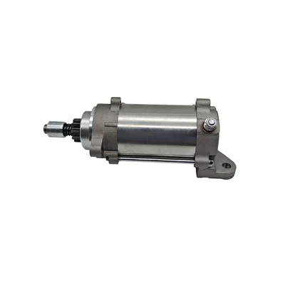 Snowmobile Starter Motor Suitable for Bombardier Ski-Doo 500Ss Oe 515-176-754 (Motorcycle engine and accessories)