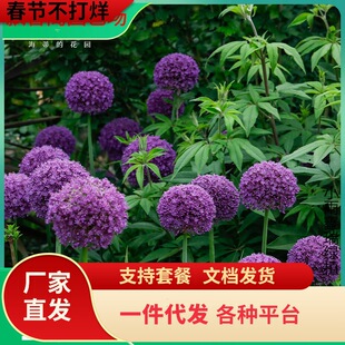 һ�����l���ٵĻ��@���[�N���M�ڶ������޸�ͥԺ��������ֲ�����