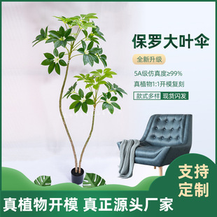 ���ƾGֲ���_���~��͏d�҃��b��쾰���Ԙ����������Է���ֲ��