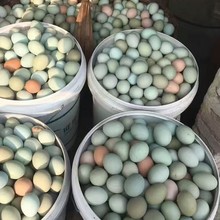 土鸡蛋新鲜农家散养土鸡蛋富硒鸡蛋乌鸡蛋鲜鸡蛋正宗整箱大量批发